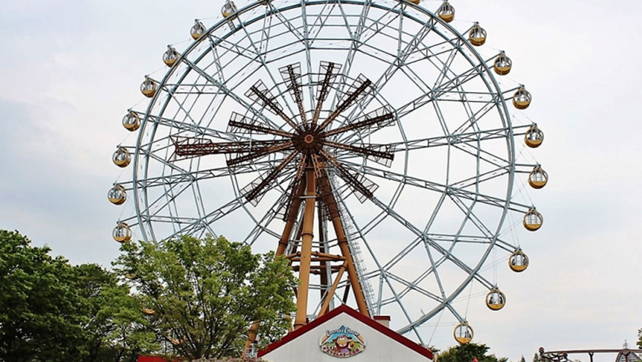 Amusement Ride Structures